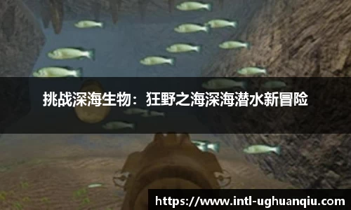 ug环球官网